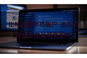 比特派数字币账户  他东谈主向此地址转账即可