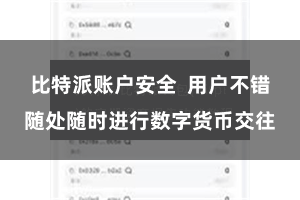 比特派账户安全  用户不错随处随时进行数字货币交往