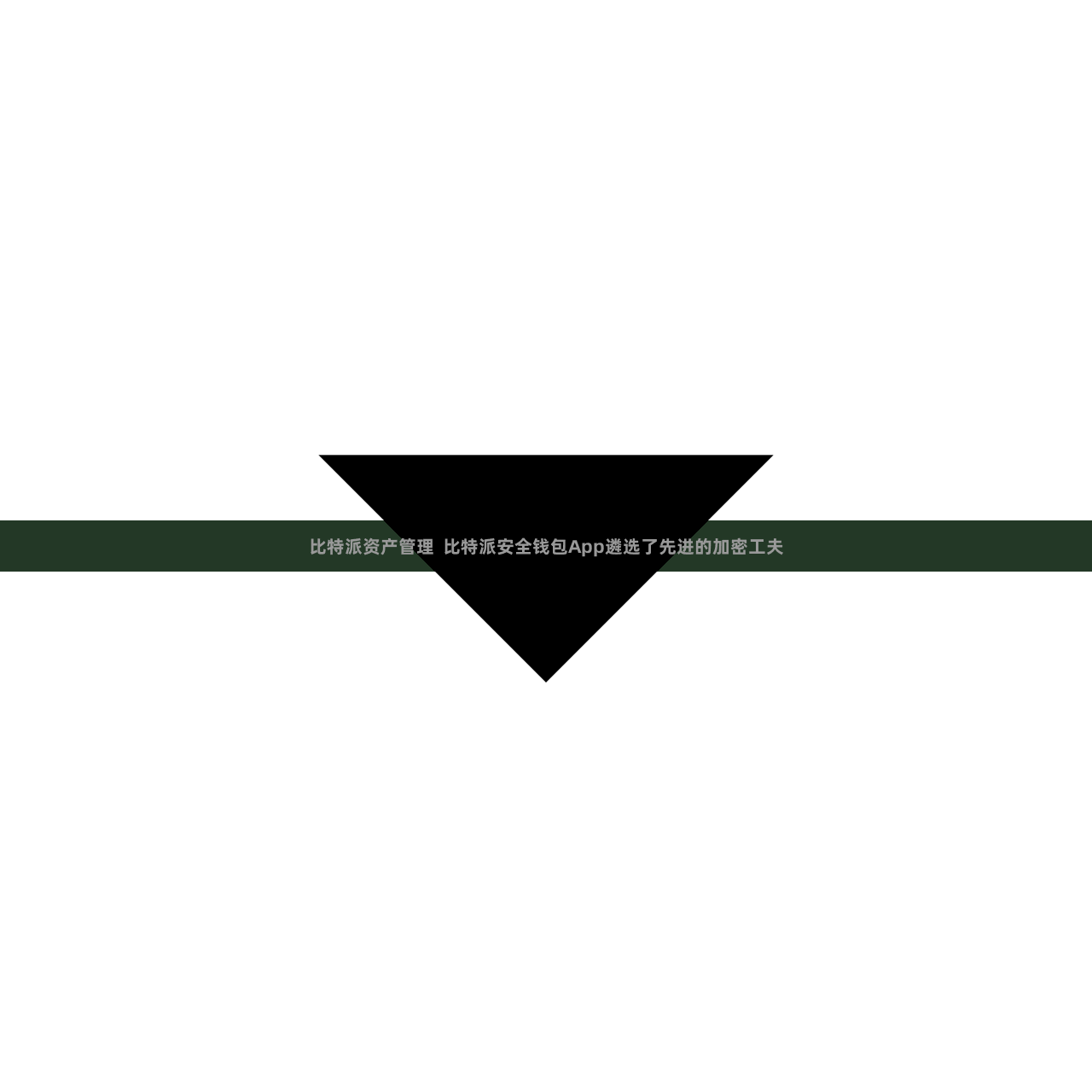 比特派资产管理  比特派安全钱包App遴选了先进的加密工夫